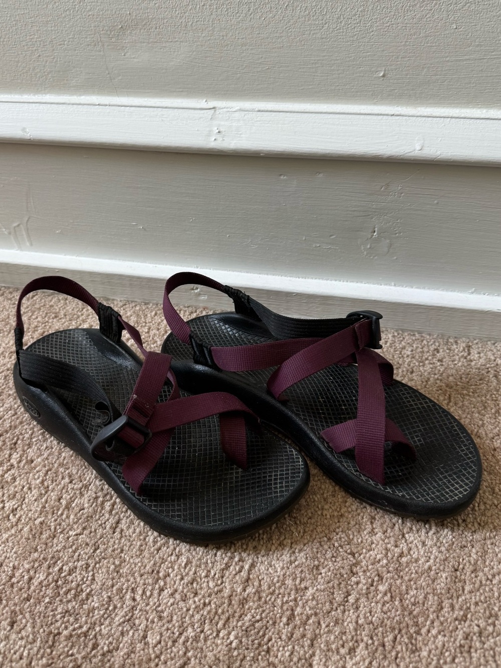 Chaco Z/2® Classic Sandal in Fig Size 10